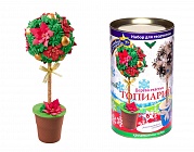 Набор для творчества топиарий Новогодний