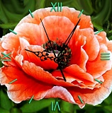 7303011P Нежный мак - алмазные часы - COLOR KIT