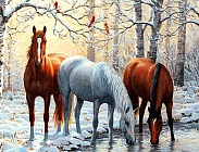 Зимой у водопоя - алмазная живопись на подрамнике