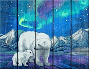 В поисках северного сияния - картина по номерам на дереве PKW-1 72