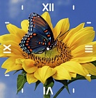 7303003 Подсолнух - алмазные часы - COLOR KIT