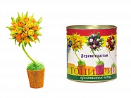 Набор для творчества топиарий "Тюльпаны" оранжево-желтый